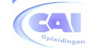 Logo HINFON-CAI